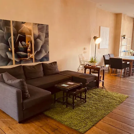 Spacious Duplex With Terrace In The Middle Of The Center *