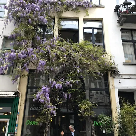 Spacious Duplex With Terrace In The Middle Of The Center Apartment *